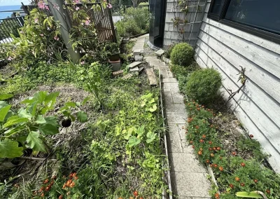 Narrow side yard with overgrown garden beds and cracked pathway before outdoor makeover in Currumbin