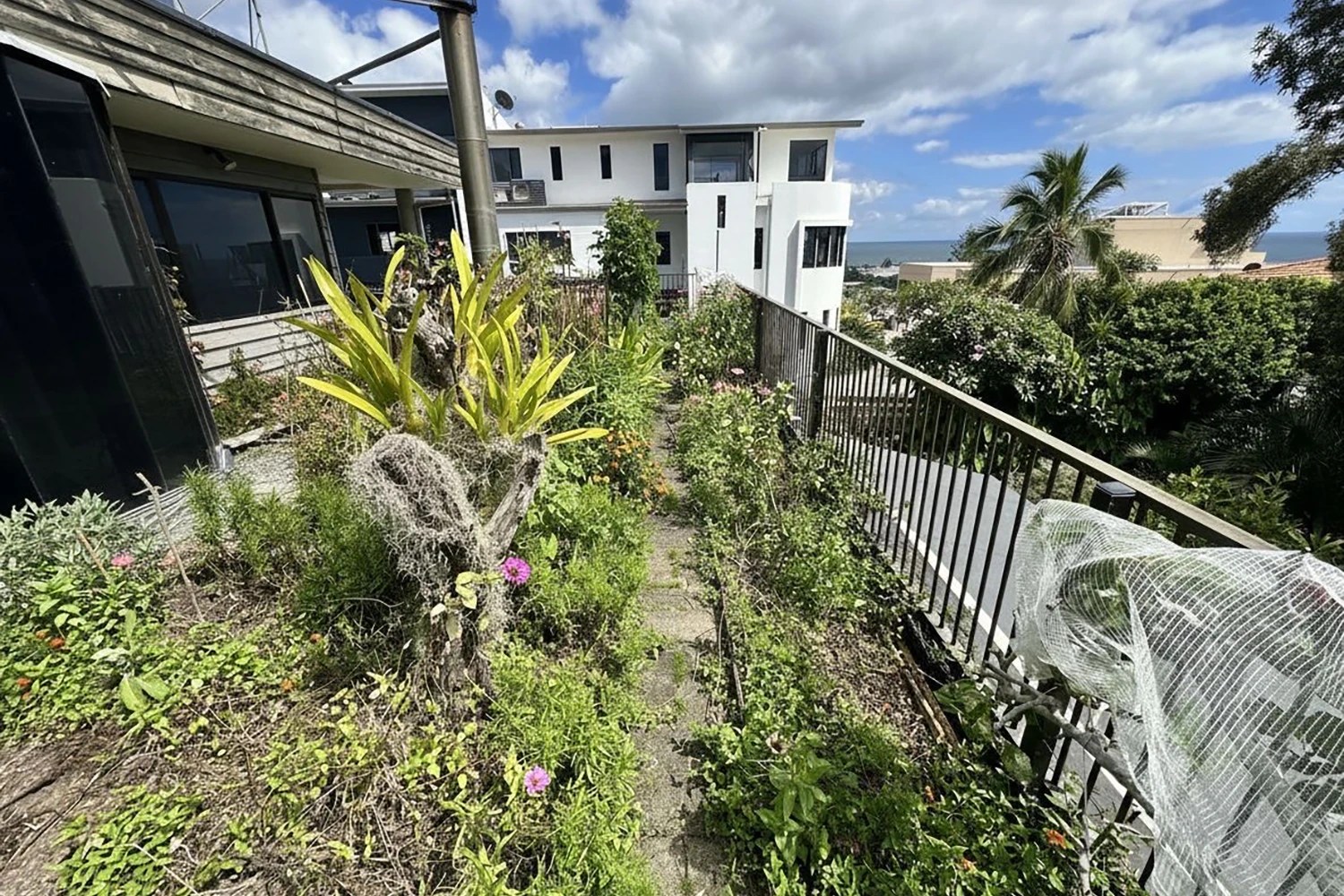 Overgrown backyard with old metal railing and uneven paving before deck build in Currumbin